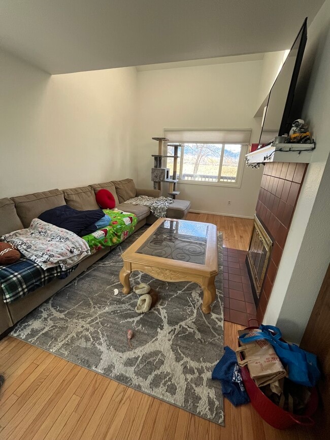 Living room - 1515 Harrison Ave