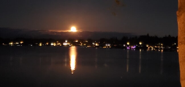 Photo - 1611 Vernon Rd