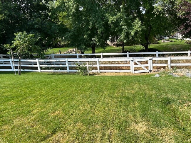 Photo - Don't miss out on this gorgeous and spacious basement apartment. It will go fast!!
