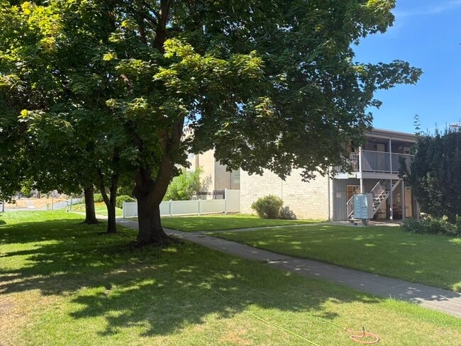 Building Photo - 217 E Sinto Ave Rental