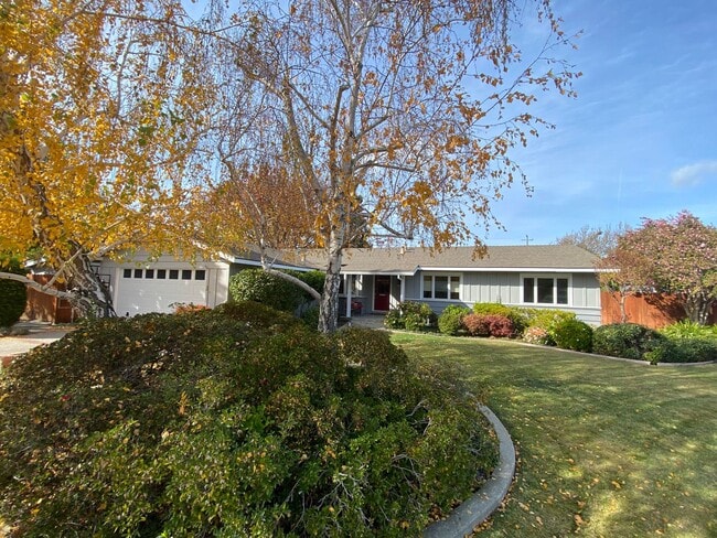 Photo - 3 Bed 2 Bath SIngle Family Home In Walnut Creek (Water, Garbage, Internet Are Included In The Rent)