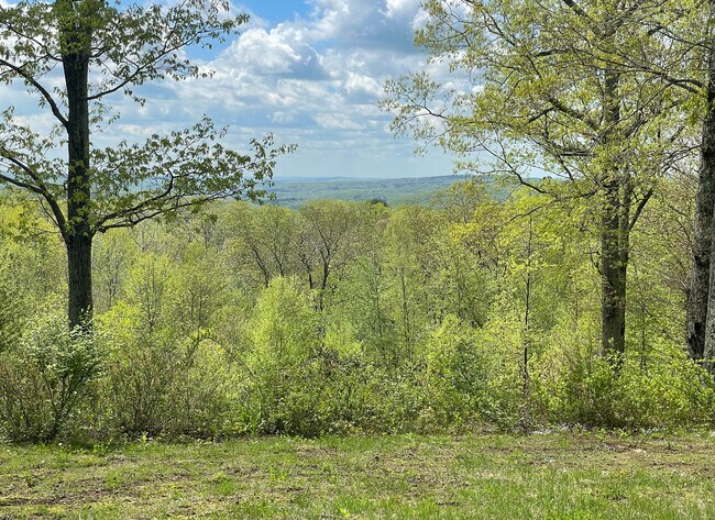 Photo - 170 Rabbit Hill Rd