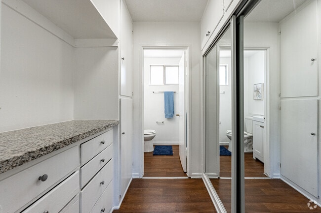 Studio - 605SF - Closet