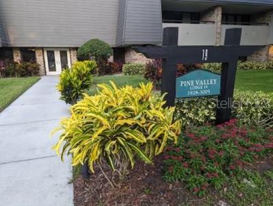 Photo - 36750 US Hwy 19 N Condo Unit 19-115