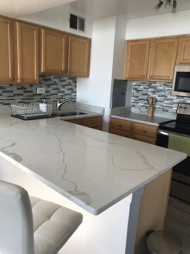 6030 N Sheridan Rd Unit 1003
