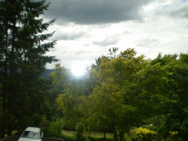 Photo - 2781 Spring Blvd