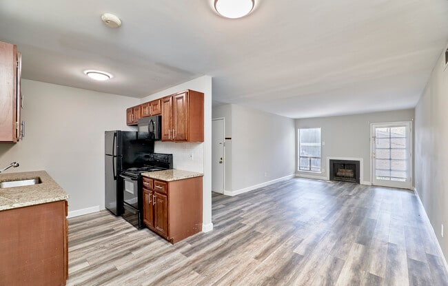 Photo - Kirkwood Forest