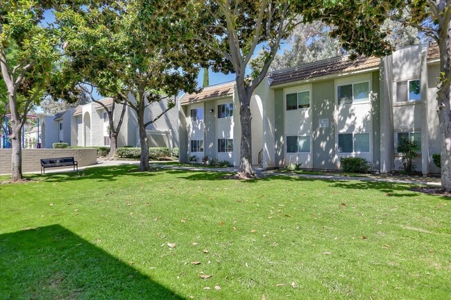 Photo - San Jose Greens