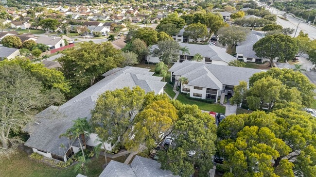 Photo - Circle Sunrise