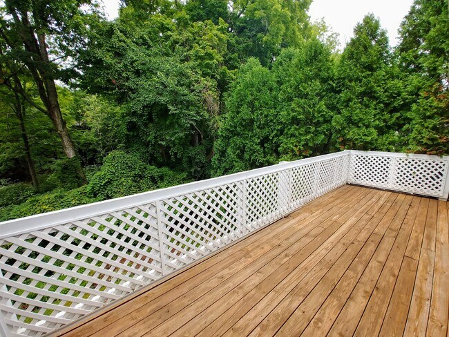 Photo - South College Mall Road - August 2026