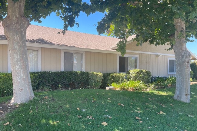 Árboles de eucalipto maduros frente a los apartamentos Eucalyptus en Moreno Valley, California. - Eucalyptus Apartments
