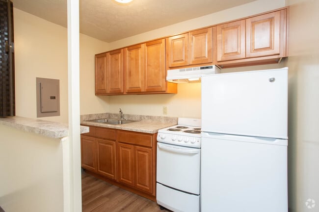 1BR, 1BA - 500 SF - Kitchen