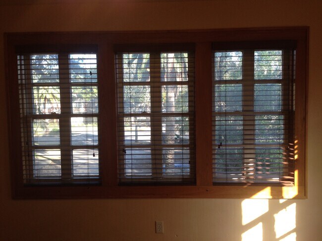 Living Room Windows - 1125 SW 2nd Ave Unidad A
