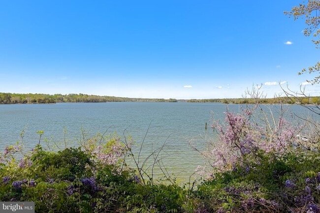 Photo - 19479 N Snow Hill Manor Rd