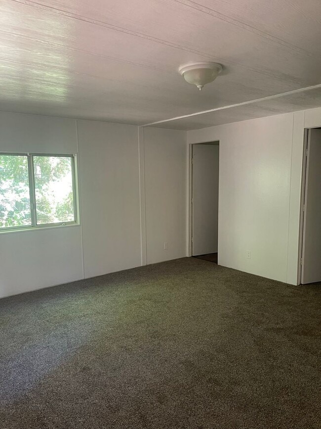 Photo - Upper Magalia Cute & clean 2 bed, 2 bath, storage shed, natural landscaping