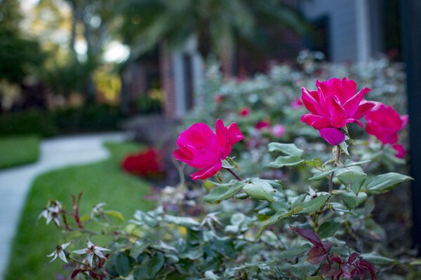 The Glades Apartments For Rent In Altamonte Springs Fl Forrent Photo The Glades Apartments