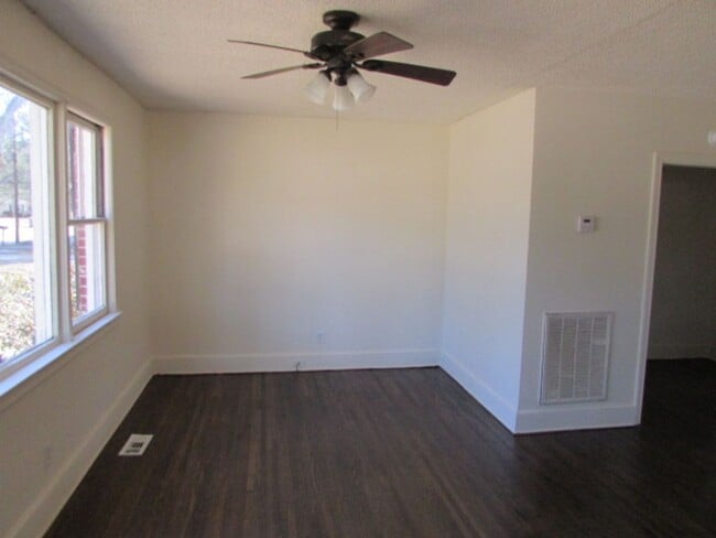 Photo - Close to Swan Lake