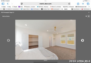 Photo - 105 Pineapple Sage Cv