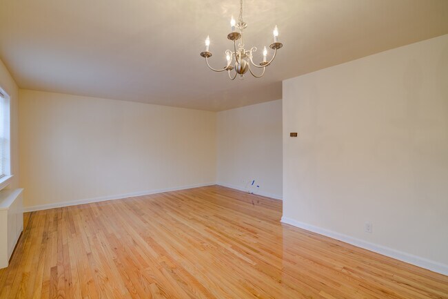 Bergen Properties