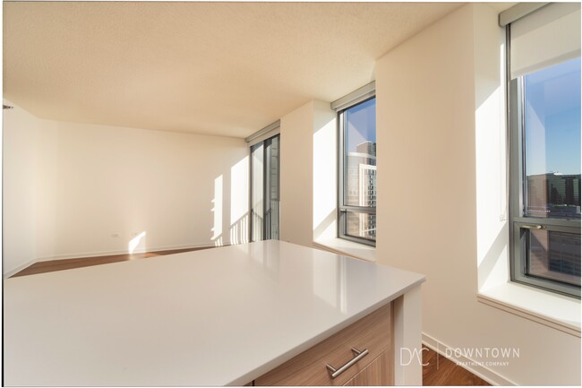 Photo - 550 N Kingsbury St Condo
