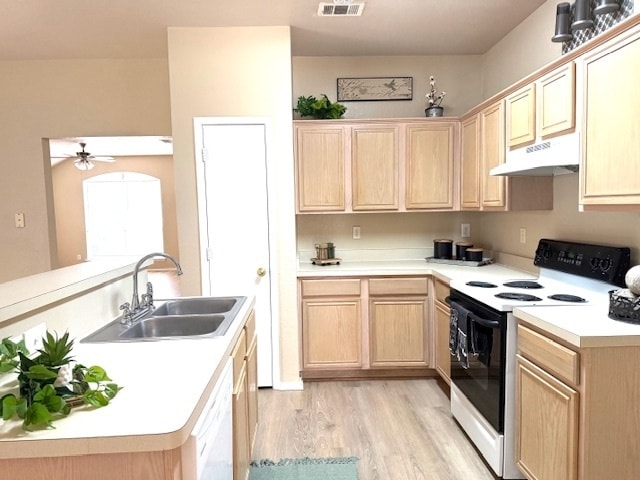 Photo - Beautifully Designed Home Will be available by July 20th! New Flooring throughout