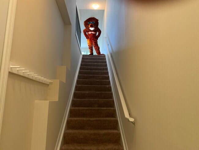 Photo - 2005 Mariposa Vista Ln