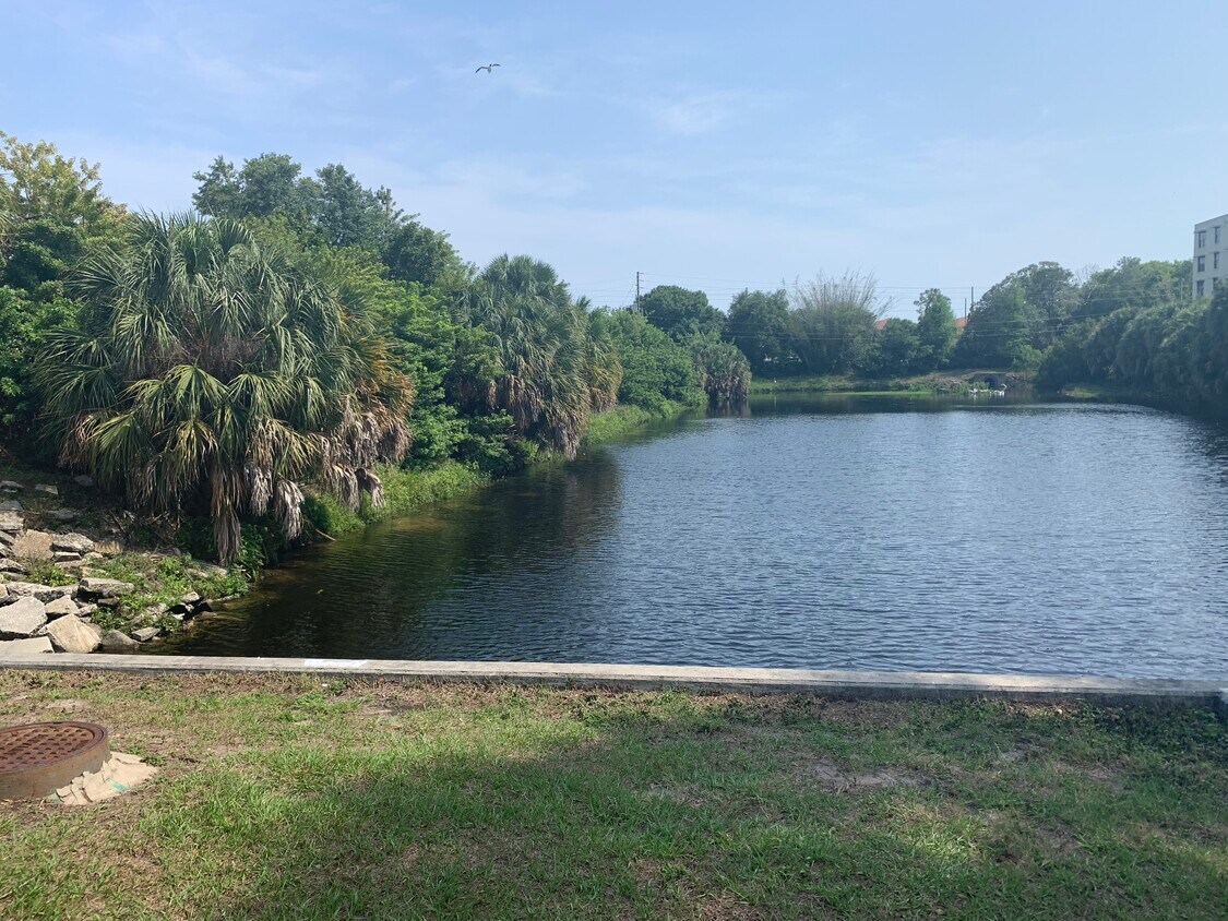 Photo - 701 S Madison Ave (Clearwater, FL)