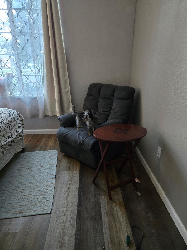 Photo - 5212 Antiquity Cir