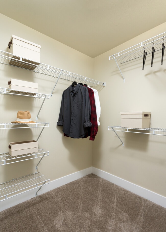 Walk-in Closet