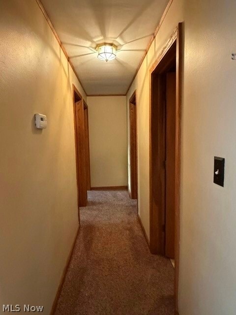 Photo - 2191 Frostwood Ave