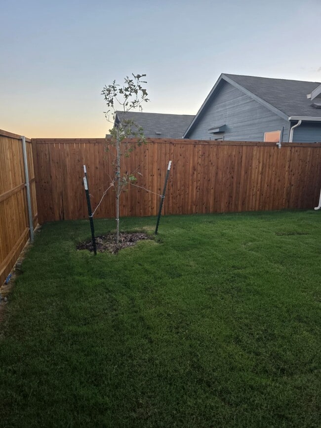 Photo - 3040 Burmese St