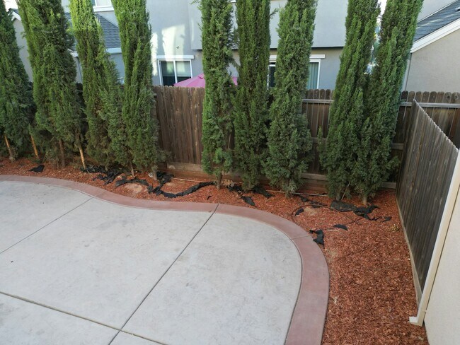 Photo - 2421 Ben Ali St