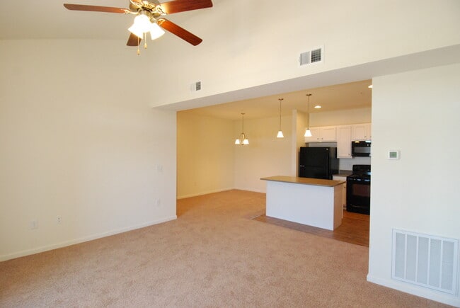 Living Room and Kitchen