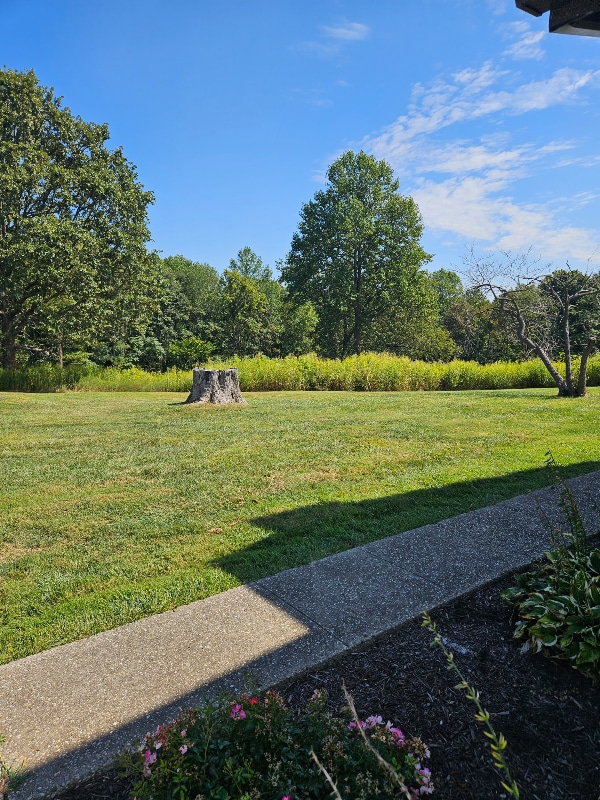 Photo - 2020 Rhodelia Rd