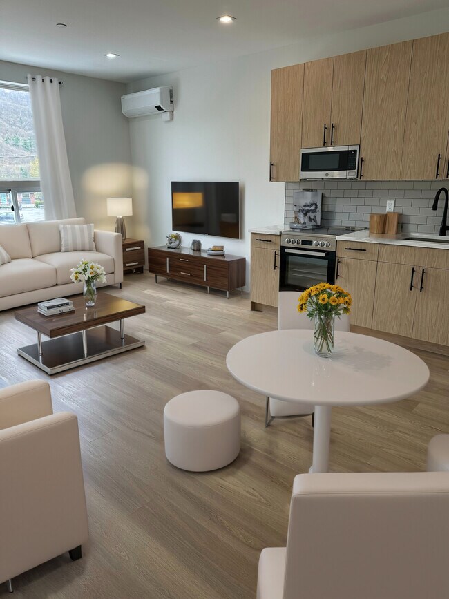 The Veselka Unidad 207 Rental Brattleboro, VT