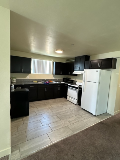 714-716 E 88th Pl - 714-716 E 88th Pl Apartamentos