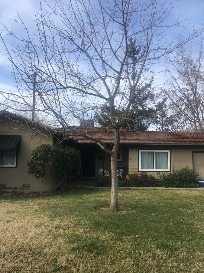 Photo - 1505 Wyant Way