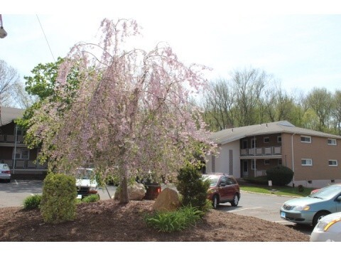 Building Photo - Highland Apartments