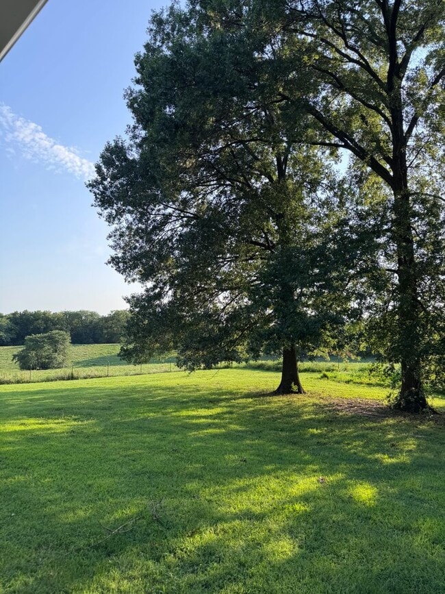 Photo - 707 S Rustic Rd
