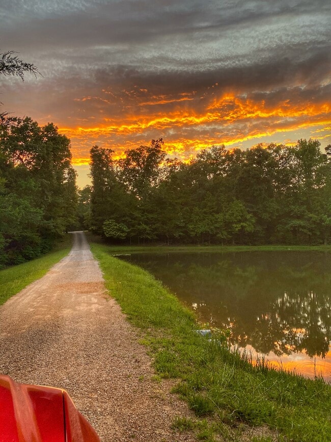 Photo - Vibrant Way # 3