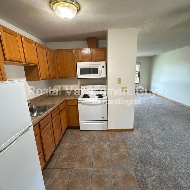 Building Photo - 4615 Tyler St NE Unit 3 Rental