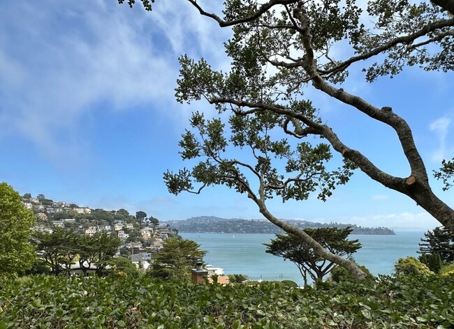 Photo - Stunning Sausalito Retreat with Bay Views & Private Meadow