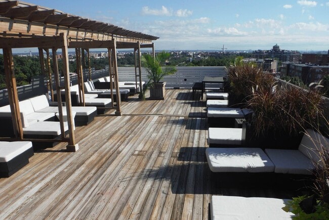 Rooftop Deck