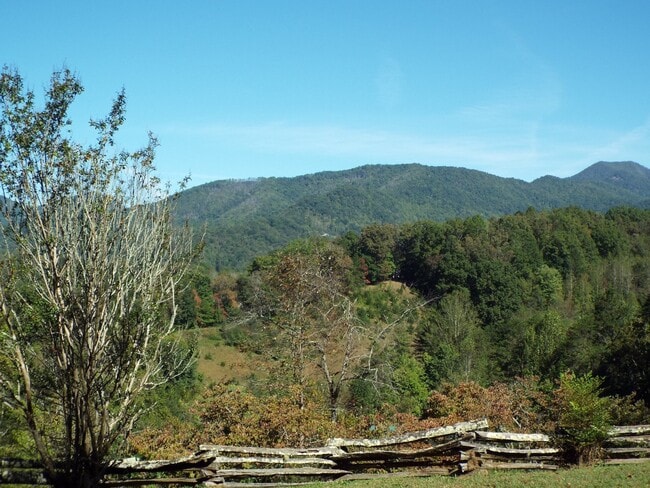 Building Photo - 2 Bed 1 Bath Cabin- All Utilities Included...