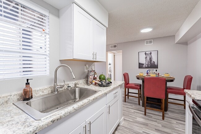 Model- Large one bedroom floor plan