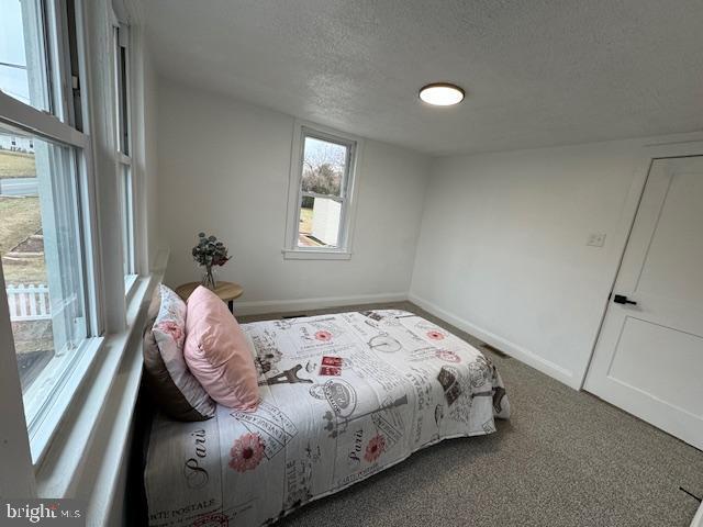 Photo - 5444 Vera Cruz Rd