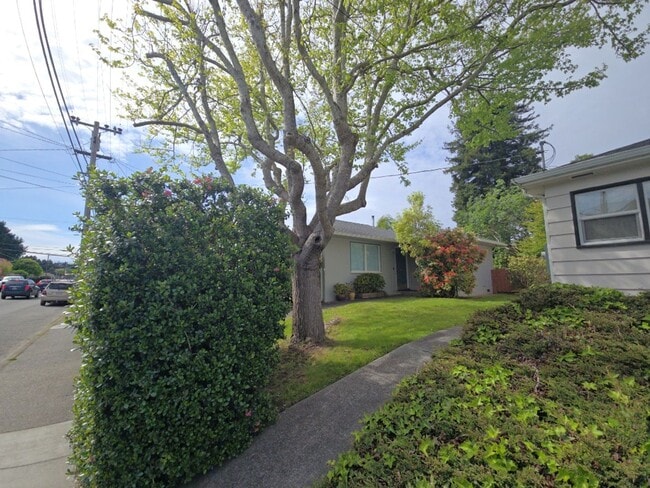 Photo - 3BD/2BA Eureka home is close to Sequoia Park, boasts infrared sauna!