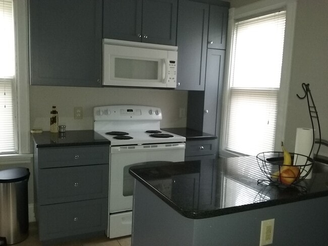 Kitchen - 522 N Division St Unit #1