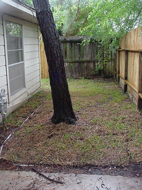 Photo - 10826 Sugar Hill Dr Unidad True