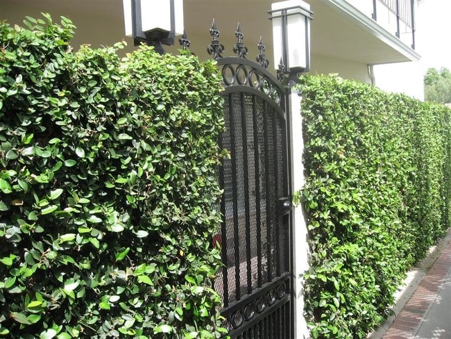 Photo - 5121 Ledge Ave